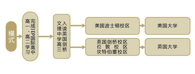 雙威國際學校擇校模式