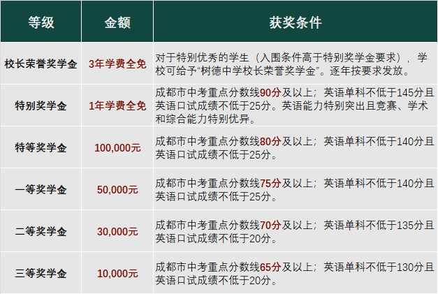 成都樹德中學國際部獎學金計劃