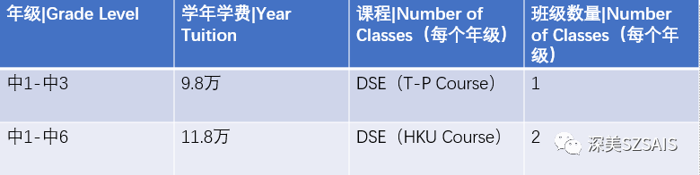 深圳深美外籍人員子女學(xué)校2024-2025學(xué)年課程學(xué)費(fèi)